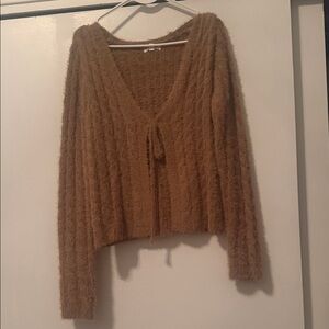 Elegant Tan V-Neck Sweater